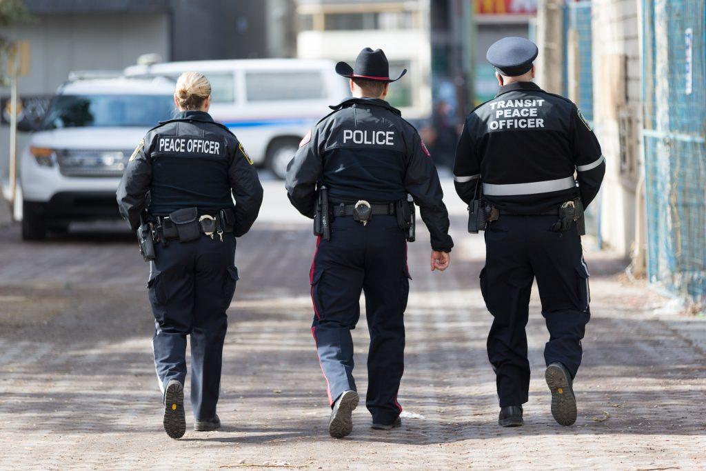 Community roles in enhancing public safety