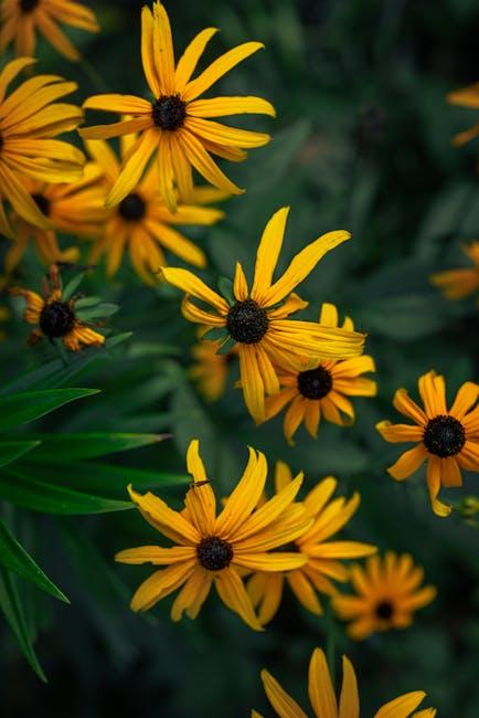 The Importance of Transparent Fees and Honest Counsel in Asheville